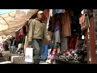 Ladakh-market-DVD-180-31