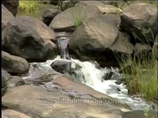 Landscape-waterfall-DVD-184-3
