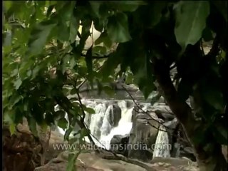 Landscape-waterfall-DVD-184-2