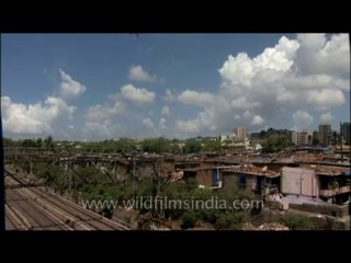 Mumbai-dvd-171-18