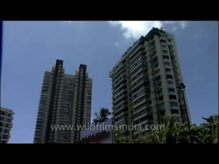 Mumbai-dvd-171-5