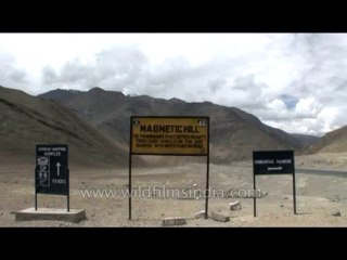 Nature-magnetic hill-dvd-178-1