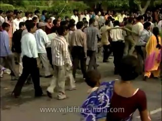 Religion-Jagannath-DVD-206-10