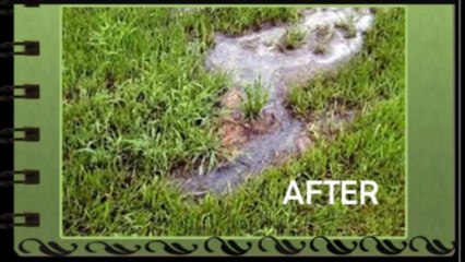 Septic Tank Drain cleaner