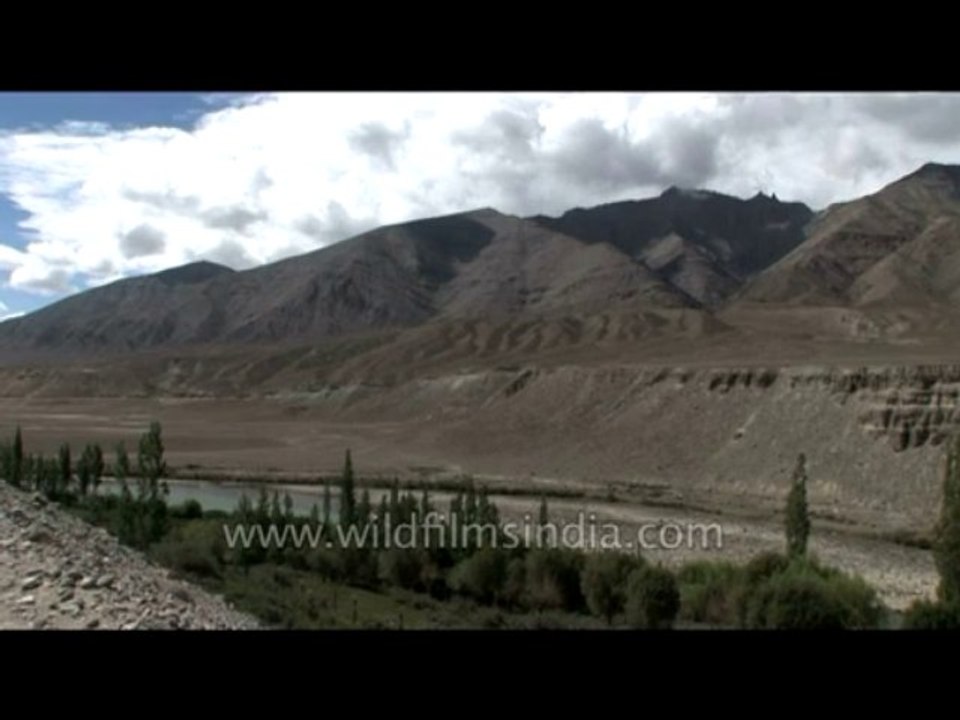 River-indus-dvd-178-2