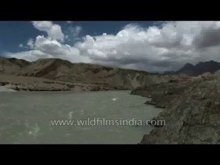River-ladakh confluence-dvd-178-6