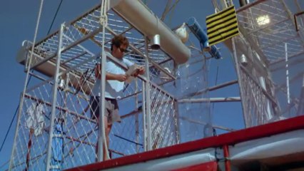 Busqueda de los grandes tiburones