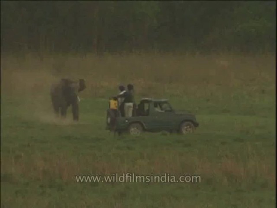 Uttaranchal-Corbett-elephants-DVD-211-2