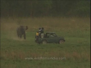 Uttaranchal-Corbett-elephants-DVD-211-2