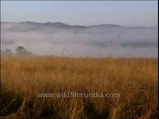 Uttaranchal-Corbett-mountain-DVD-211-1