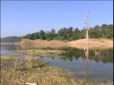 Uttaranchal-Corbett-river-DVD-205-2