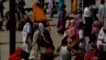 Allahabad kumbh mela-Shivratri-Shahi snan-hdc-tape-10-4