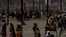 Allahabad kumbh mela-Shivratri-Shahi snan-hdc-tape-10-9