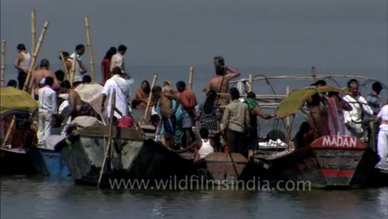 Allahabad maha kumbh mela-arti-hdc-tape-8-1-10
