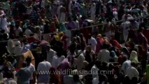 Allahabad maha kumbh mela-Shivratri-Shahi snan-hdc-tape-10-20