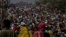 Allahabad maha kumbh mela-Shivratri-Shahi snan-hdc-tape-10-22