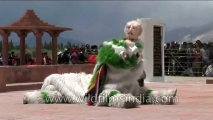 Dances-Ladakh-Dvd-176-9