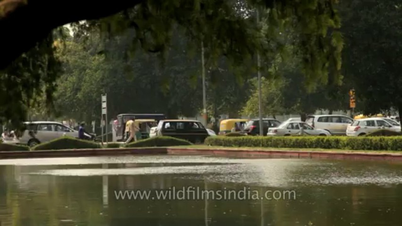 Delhi-India gate-7D camera-2