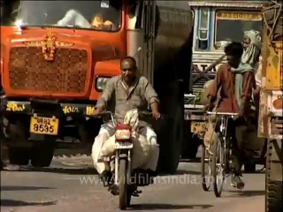 DVD-142-UP-Agra-8-14