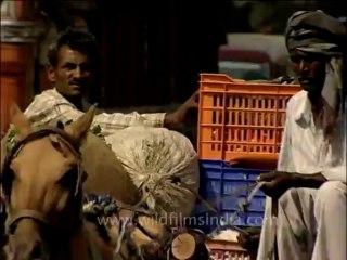 DVD-142-UP-Agra-8-15