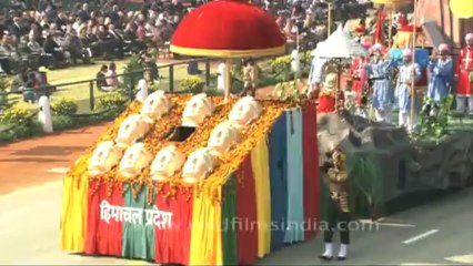DVD-143-Delhi-Republic Day-17-6