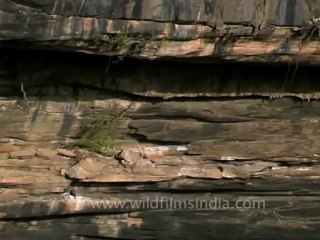 DVD-143-Landscape-Waterfall-3-2