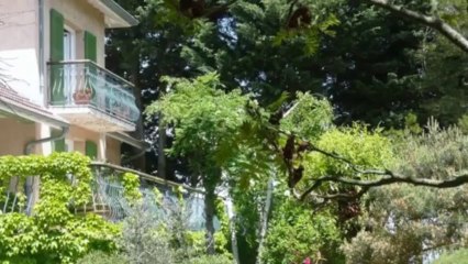 Maison traditionelle à vendre avec grand terrain à 5 minutes de la ville de Montbrison