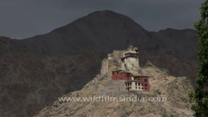 DVD-195-Landscape-Ladakh-14-1