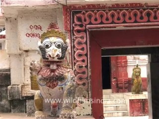 DVD-196-Orissa-Bhubaneshwara-10-2