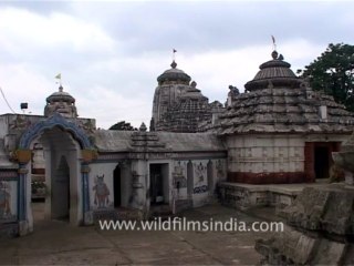 DVD-196-Orissa-Bhubaneshwara-11-1