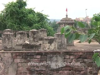 DVD-196-Orissa-Bhubaneshwara-9-4