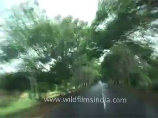 DVD-196-Orissa-Roads-1-4