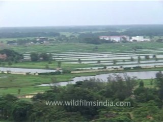 DVD-198-Orissa-Bhubaneshwara-16-2