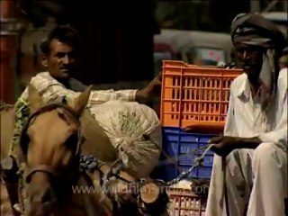 DVD-204-up-agra-13-11