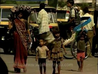 DVD-204-up-agra-13-4