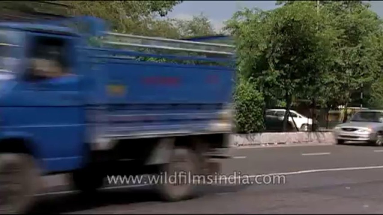 DVD-220-Delhi Streets-2