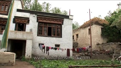 DVD-227-ladakh-house-4