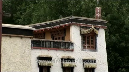 DVD-227-ladakh-house-5