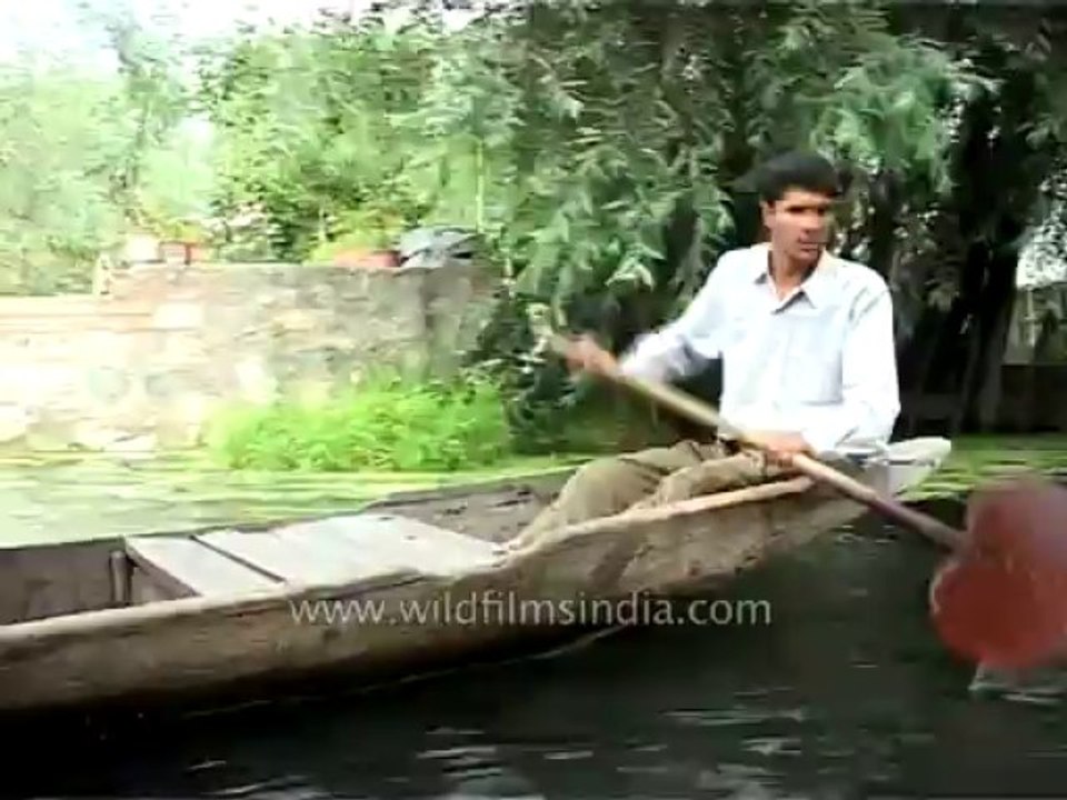 DVD-227-srinagar-dallake