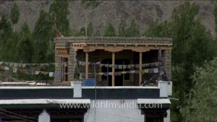 DVD-230-landscape-ladakh-15-2