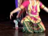 DVD-234-dances-bharatnatyam-6-1