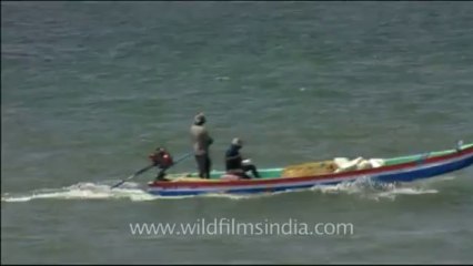 DVD-239-endeavour-fisherman-5-1