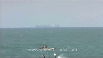 DVD-239-endeavour-fisherman-5-3