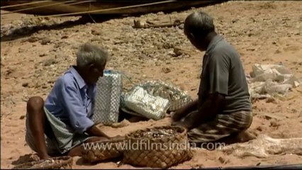 DVD-239-endeavour-fisherman-6-1