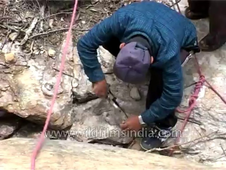 Expedition-Nandadevi-Dvd-186-4