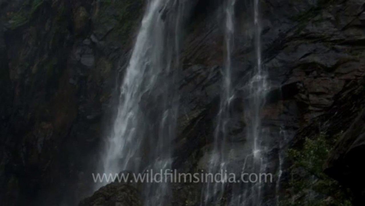 Jog falls-hdv-548-1-9