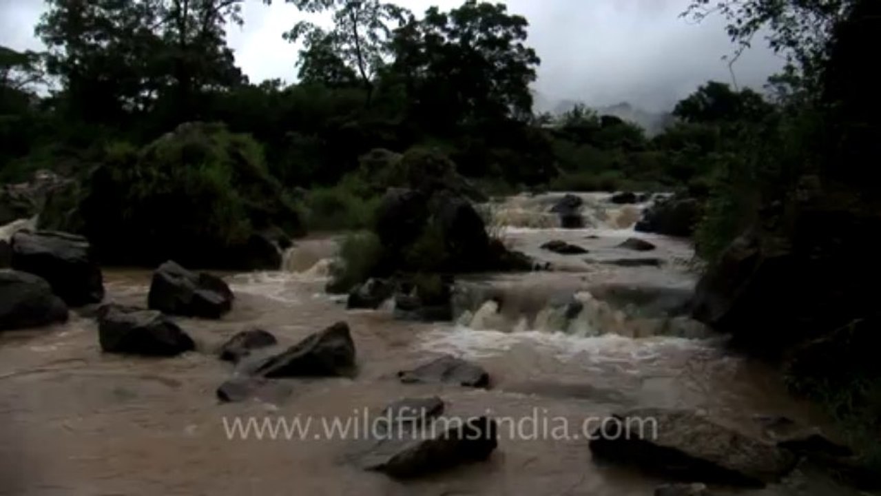 Jog falls-hdv-549-4-6