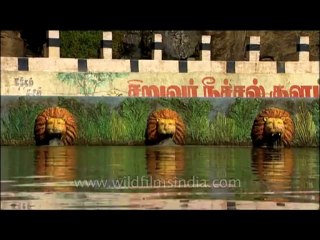 Kerala-temple-dvd-236-21
