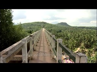 Kerala-temple-dvd-236-27