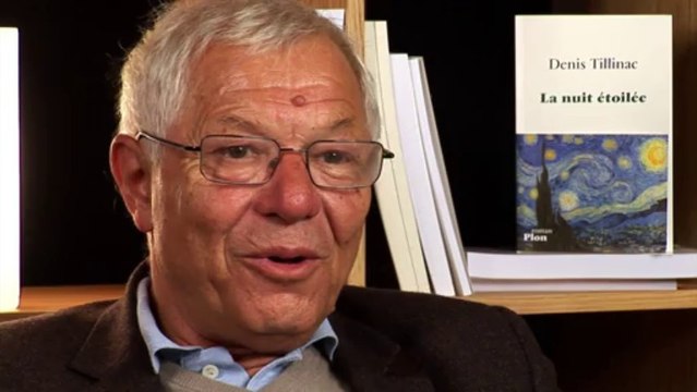 Denis Tillinac - La nuit étoilée